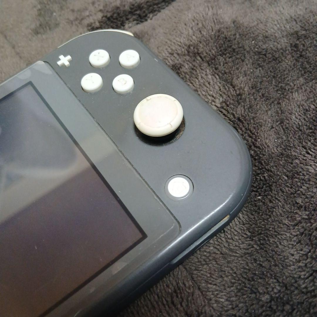完全ジャンク品部品取り用　Nintendo Switch Lite　箱なし