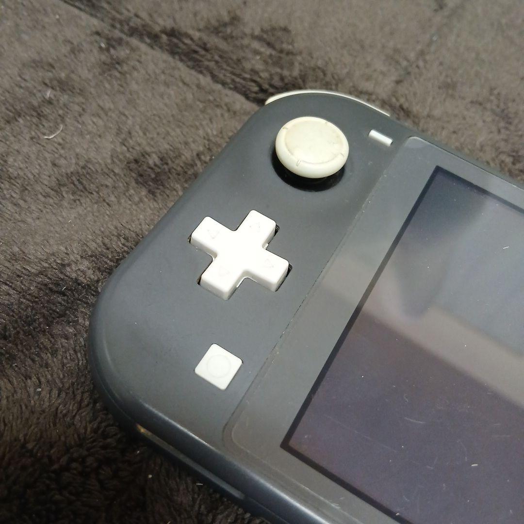 完全ジャンク品部品取り用　Nintendo Switch Lite　箱なし