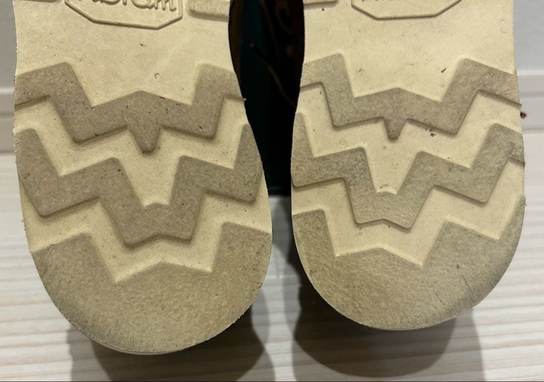 DAIWA DANNER  WALKER LOW ダナー　ダイワ