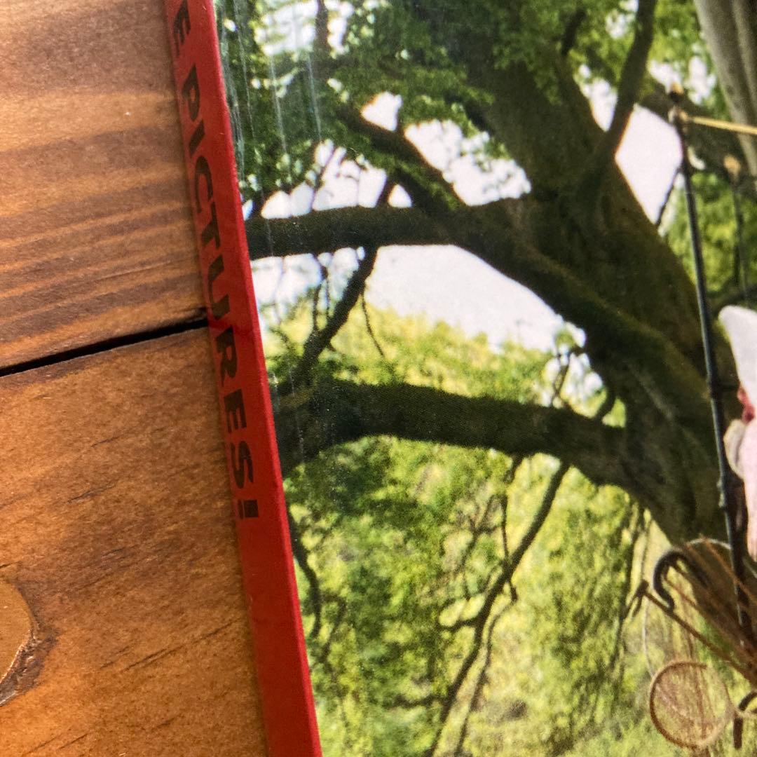 ティムウォーカー　I LOVE PICTURES!