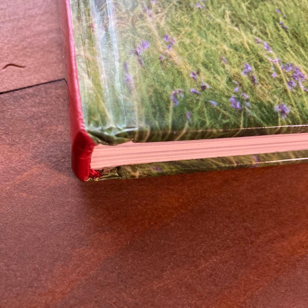 ティムウォーカー　I LOVE PICTURES!