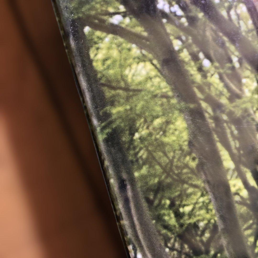 ティムウォーカー　I LOVE PICTURES!