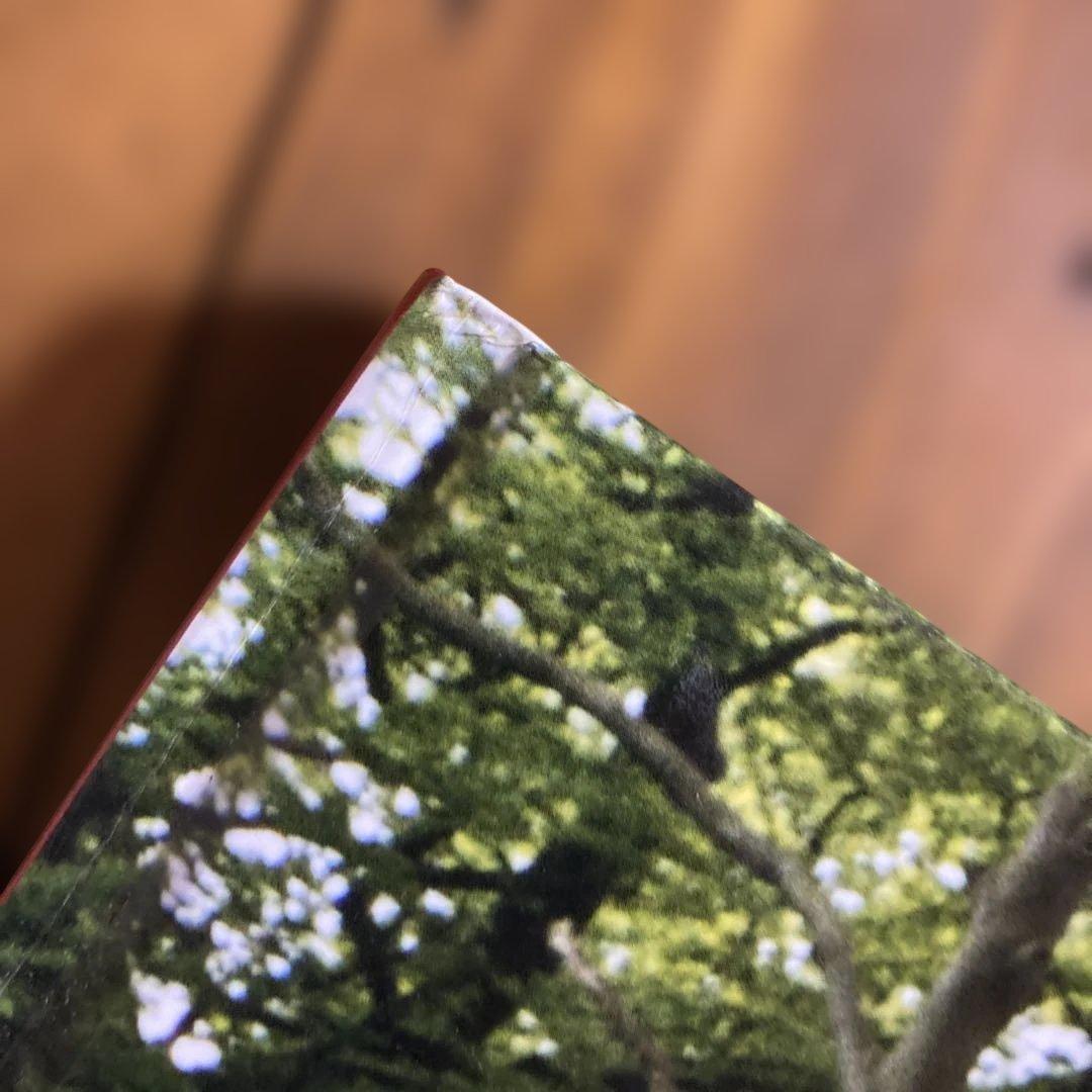 ティムウォーカー　I LOVE PICTURES!