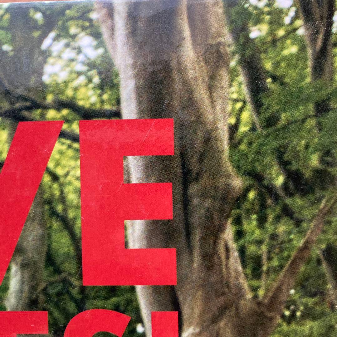 ティムウォーカー　I LOVE PICTURES!