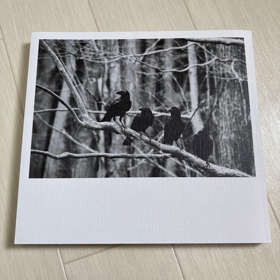 エレカシ30th 2017 THE FIGHTING MAN パンフレット