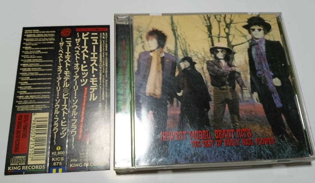 ニューエスト・モデル　ソウル・フラワー・ユニオン　CD 13タイトルセット