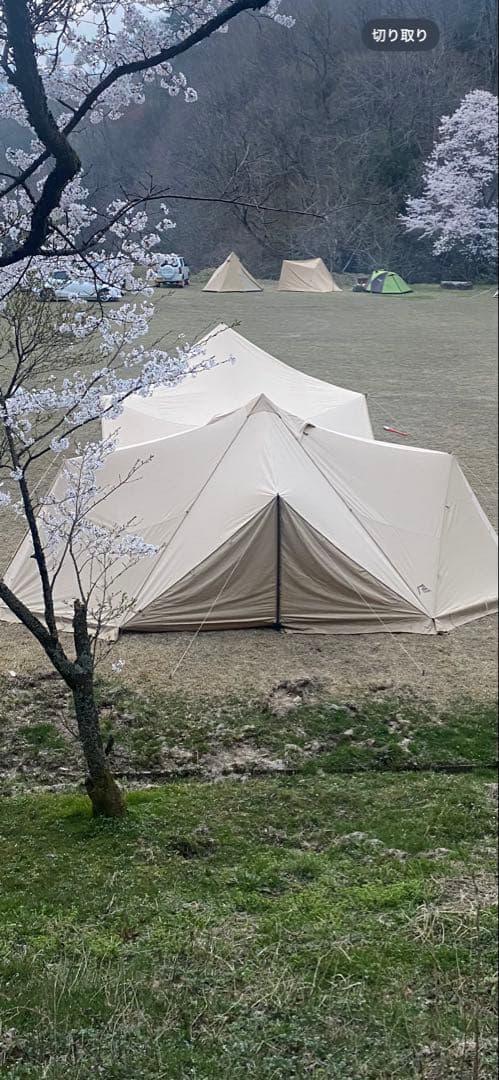 スカイパイロットtc