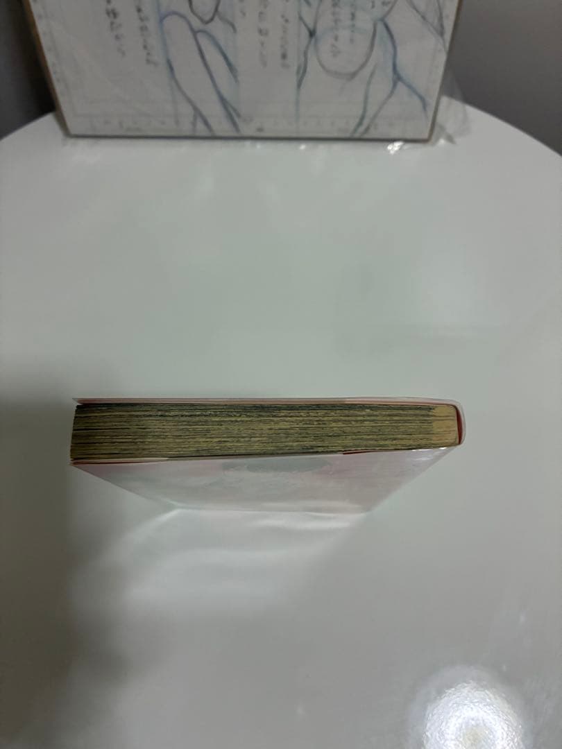 紫よりい 生下絵 太一くんの実験室