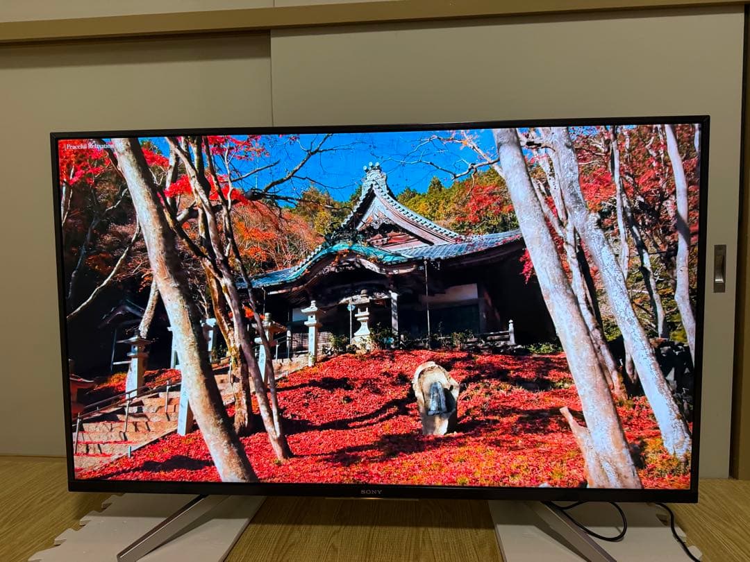 ソニー　KJ-43X8000G 43型2019年製⭕️地上 BS/CS動画可テレビ