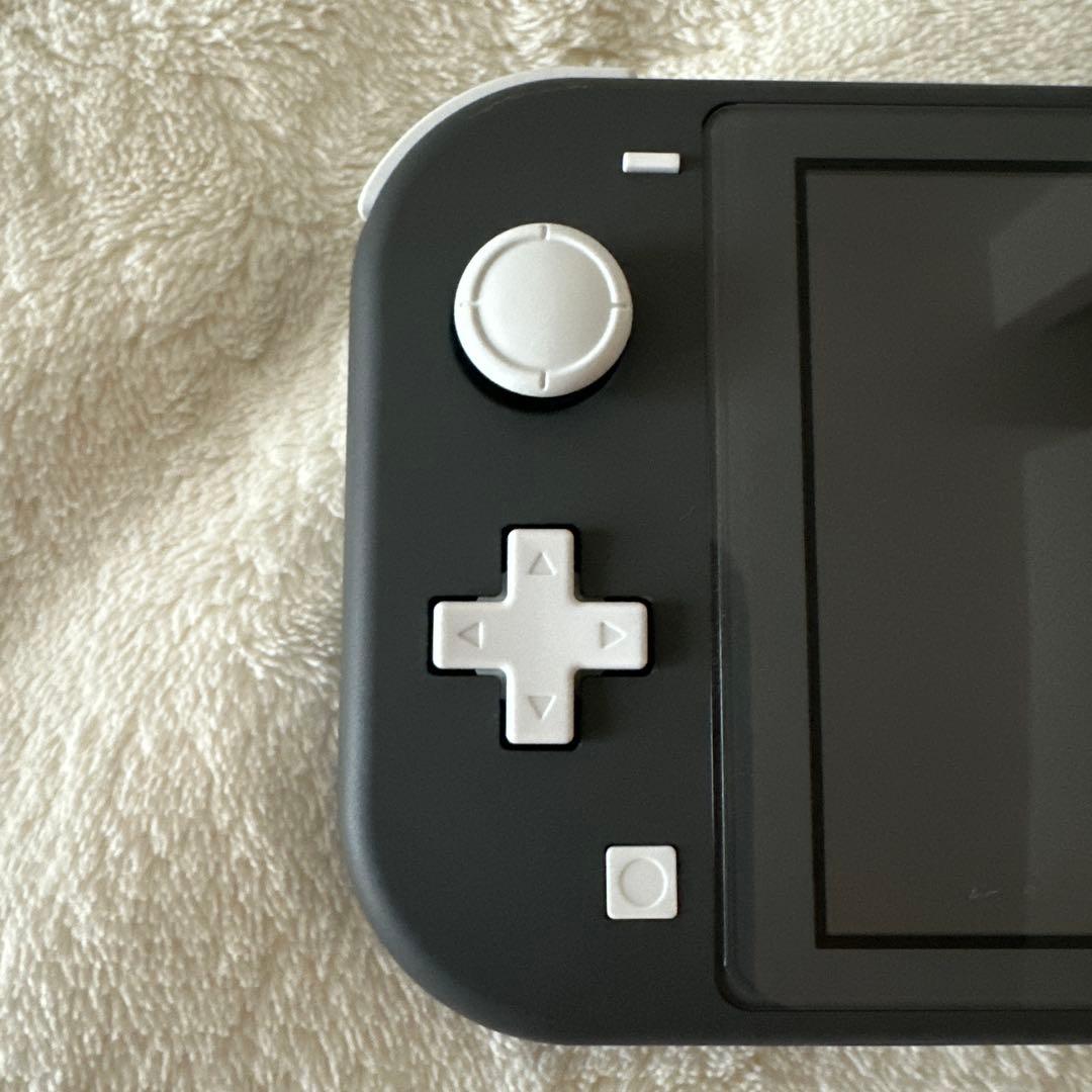 Nintendo Switch Lite グレー　ケース、マリオカセット付き