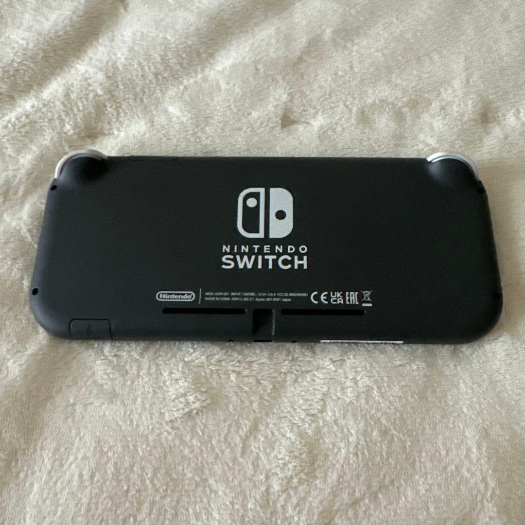 Nintendo Switch Lite グレー　ケース、マリオカセット付き