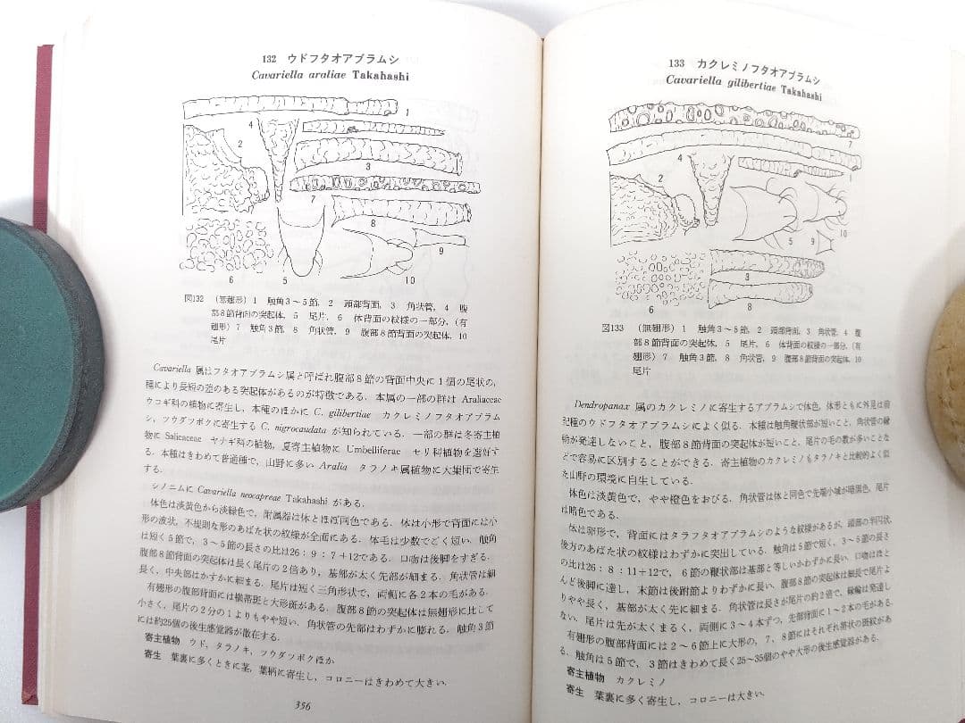 『日本原色アブラムシ図鑑』アブラムシ 希少本 稀覯本 森津孫四郎 著