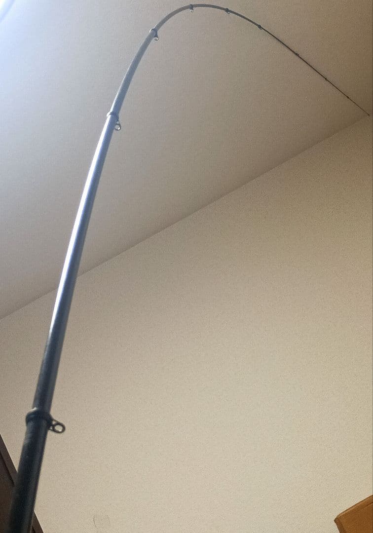 ダイワ波濤T2号5.3m&ダイコーセレスタ名手磯3号5.3mまとめて2本