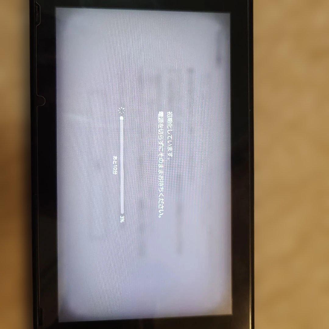 Nintendo Switch フルセット 収納ケース付