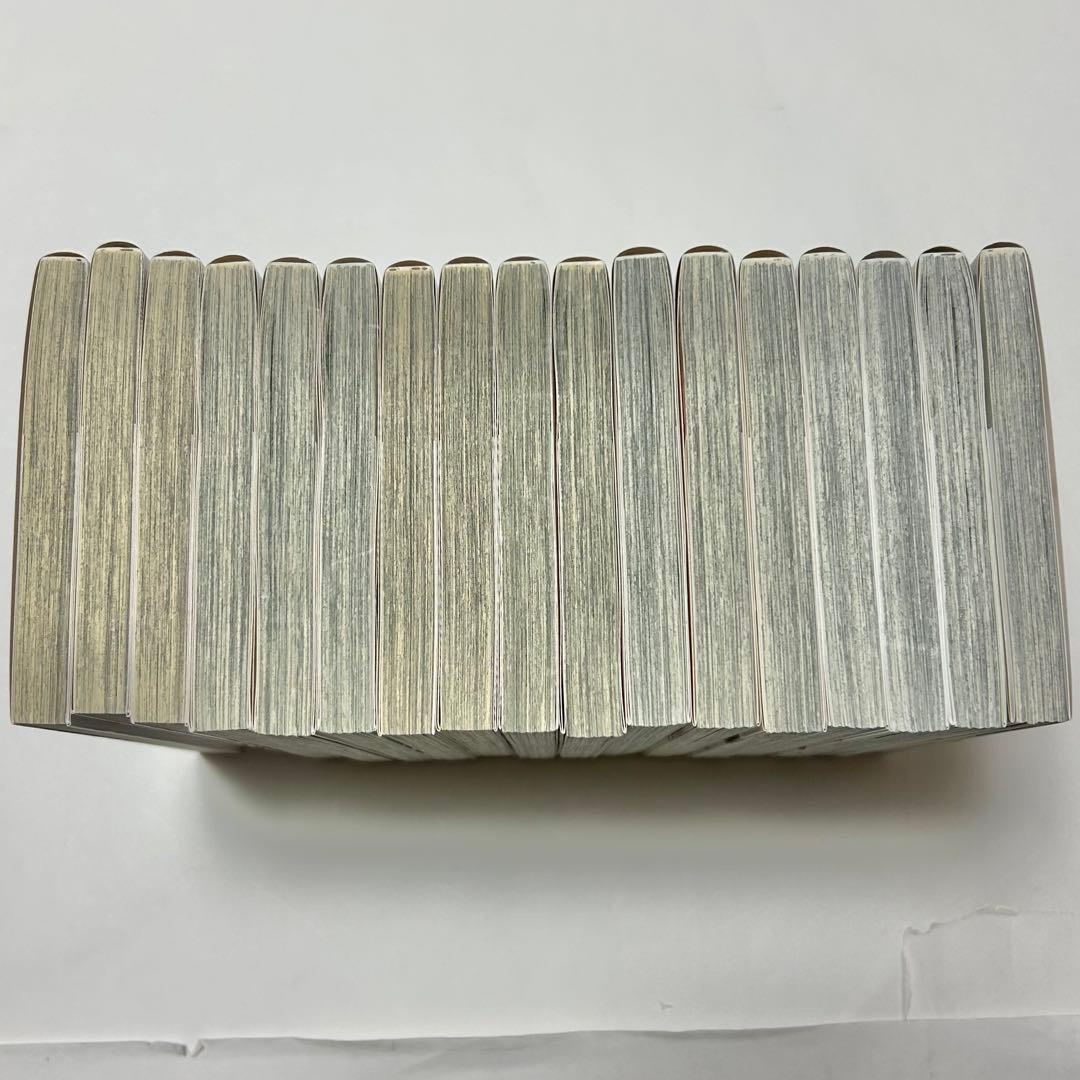 【送料込み】《17冊セット》星降る王国のニナ 1〜17巻 リカチ