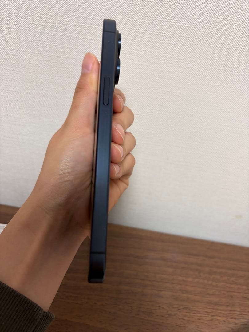 iPhone15 pro max 海外版　付属品あり　256GB