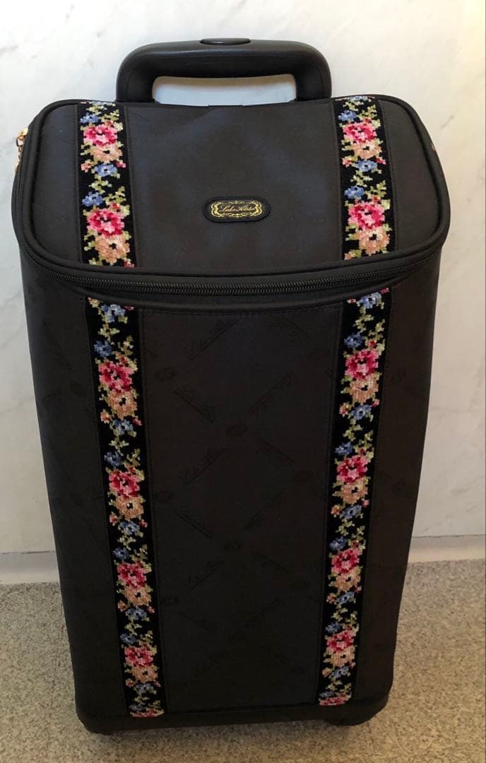 レイクアルスター　キャリーケース