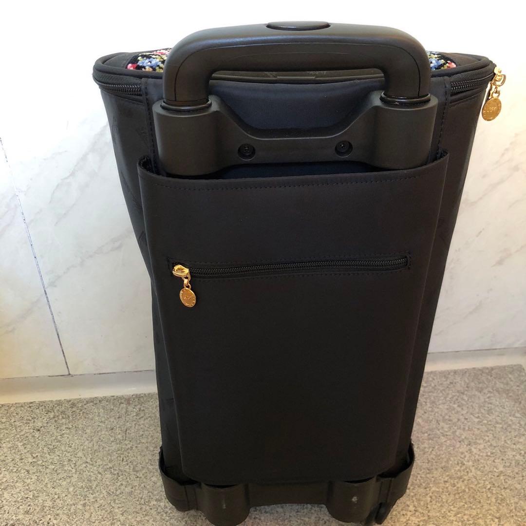 レイクアルスター　キャリーケース