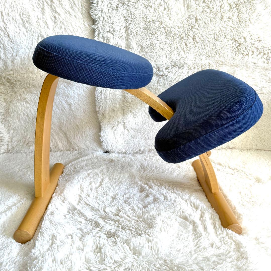 バランスチェア イージー balans Easy ネイビー　サカモトハウス　リボ