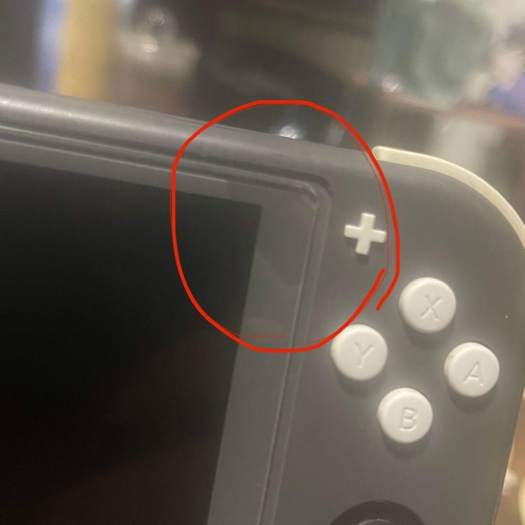 Nintendo Switch Lite グレー 本体 カバー付き