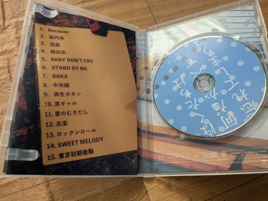 東京初期衝動　DVD『ぼくたちは何だかすべて忘れてしまうね』