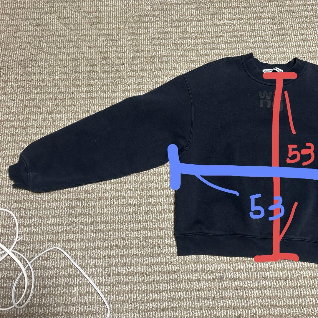 ✨限定値下げ中✨alexander wang スウェット　レディース　メンズ