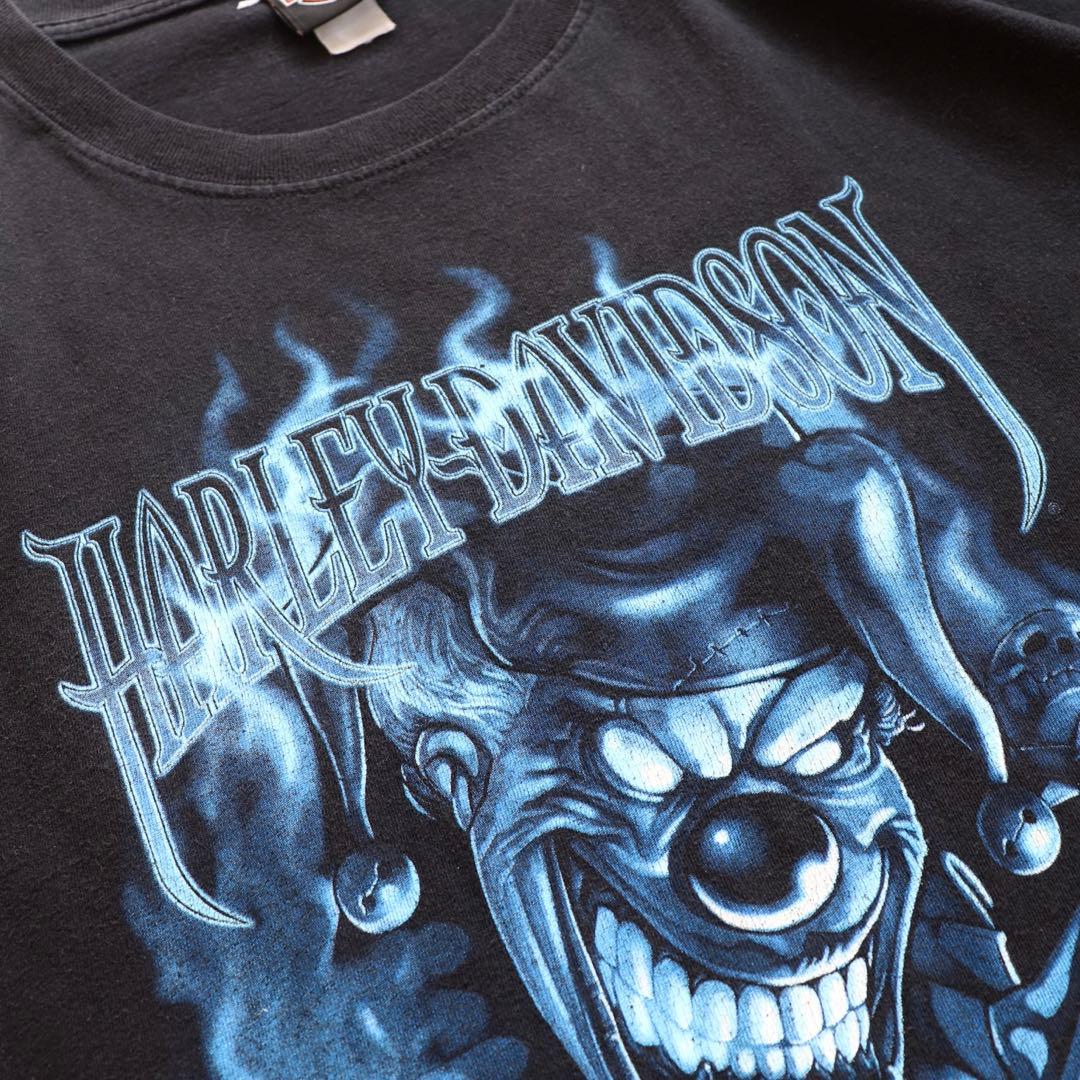 00s ヴィンテージ ハーレーダビッドソン ファイヤー ブルーフレイム 長袖