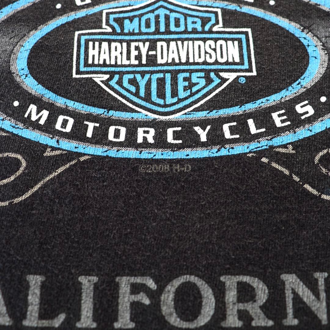 00s ヴィンテージ ハーレーダビッドソン ファイヤー ブルーフレイム 長袖