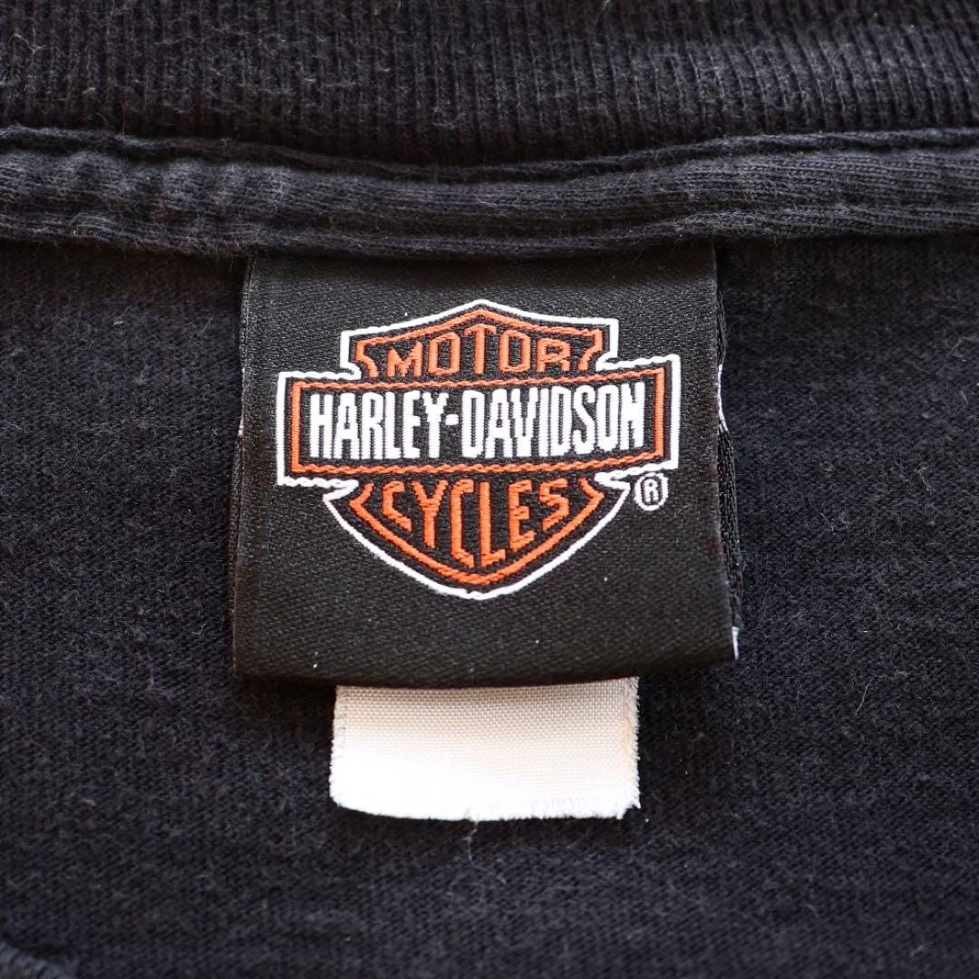 00s ヴィンテージ ハーレーダビッドソン ファイヤー ブルーフレイム 長袖