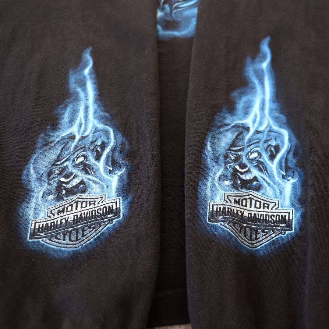 00s ヴィンテージ ハーレーダビッドソン ファイヤー ブルーフレイム 長袖