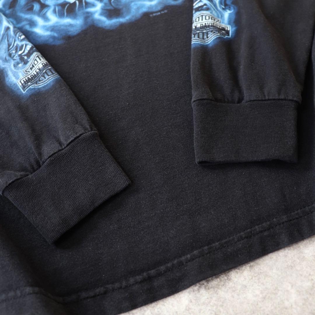 00s ヴィンテージ ハーレーダビッドソン ファイヤー ブルーフレイム 長袖