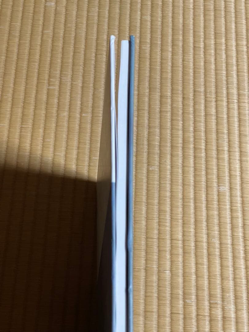 Viviane Sassen \"PARASOMNIA\" 初版