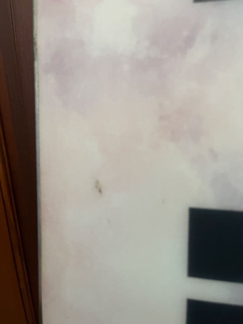 r*o様 キッズスノーボード　NATURE 120センチ　バイン、ケースセット