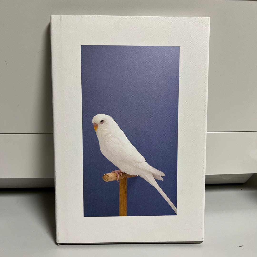 アート・デザイン・音楽 Luke Stephenson