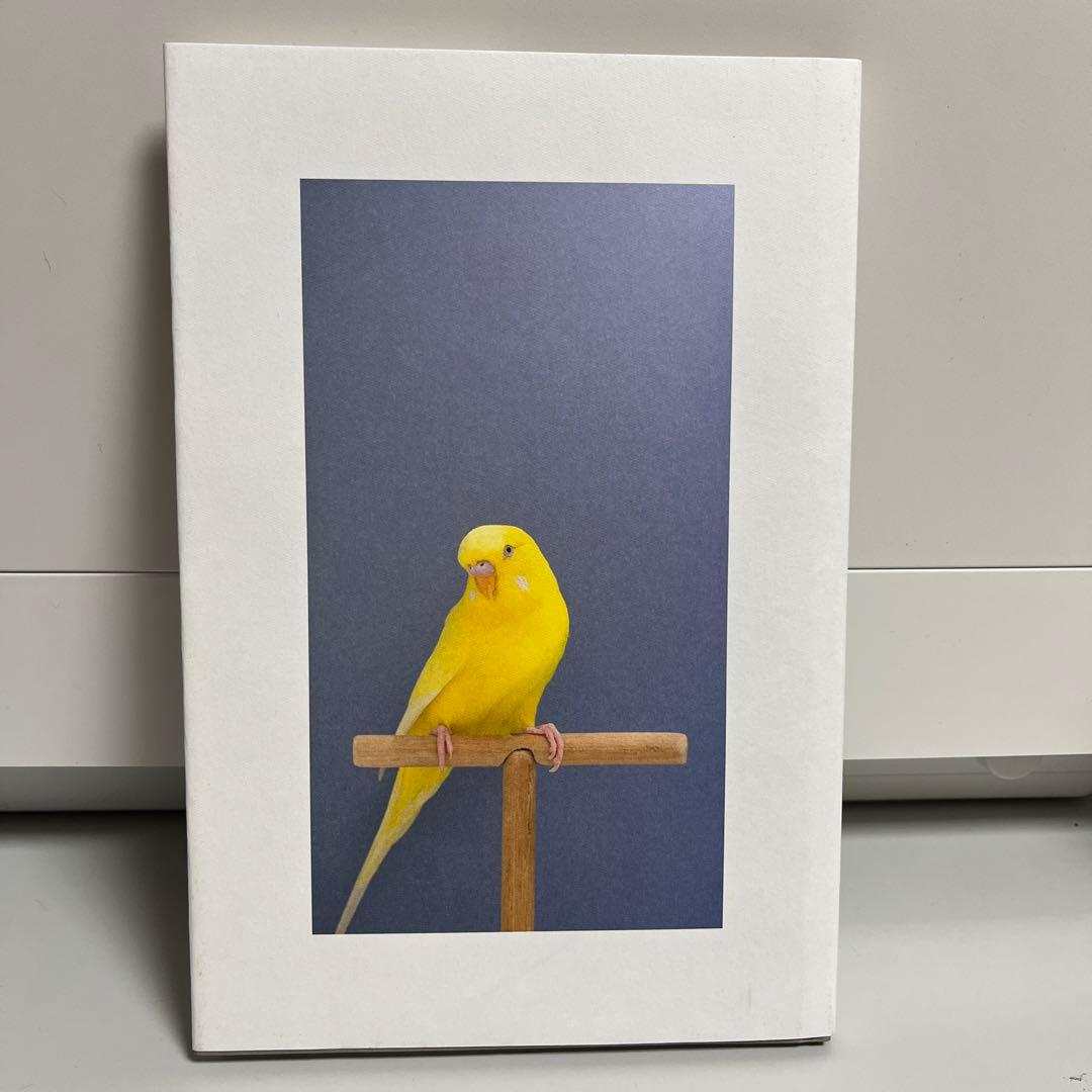 アート・デザイン・音楽 Luke Stephenson