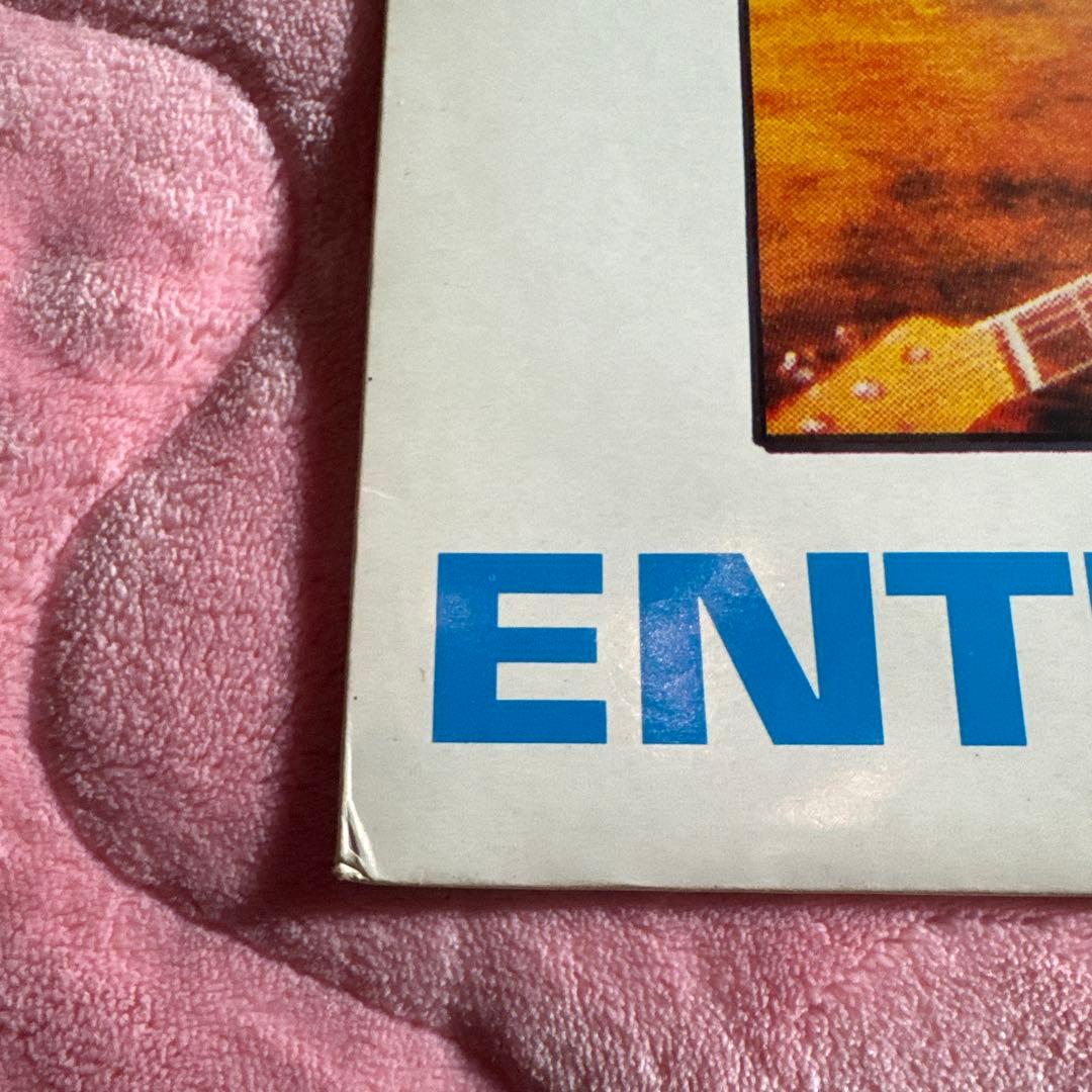 Nirvana アナログ Entertain us レア 1/700