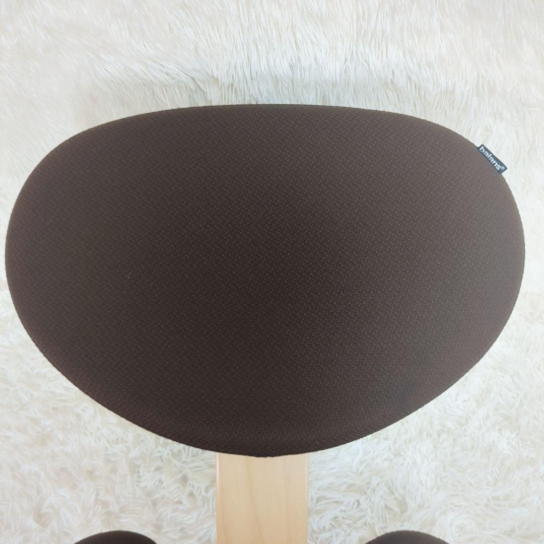 balans Easy バランスイージー 通常フレーム 　オプション付き