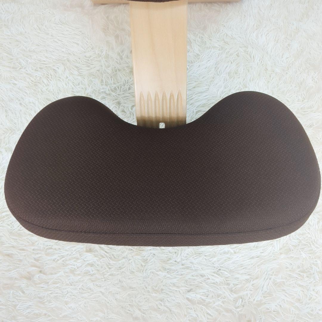 balans Easy バランスイージー 通常フレーム 　オプション付き