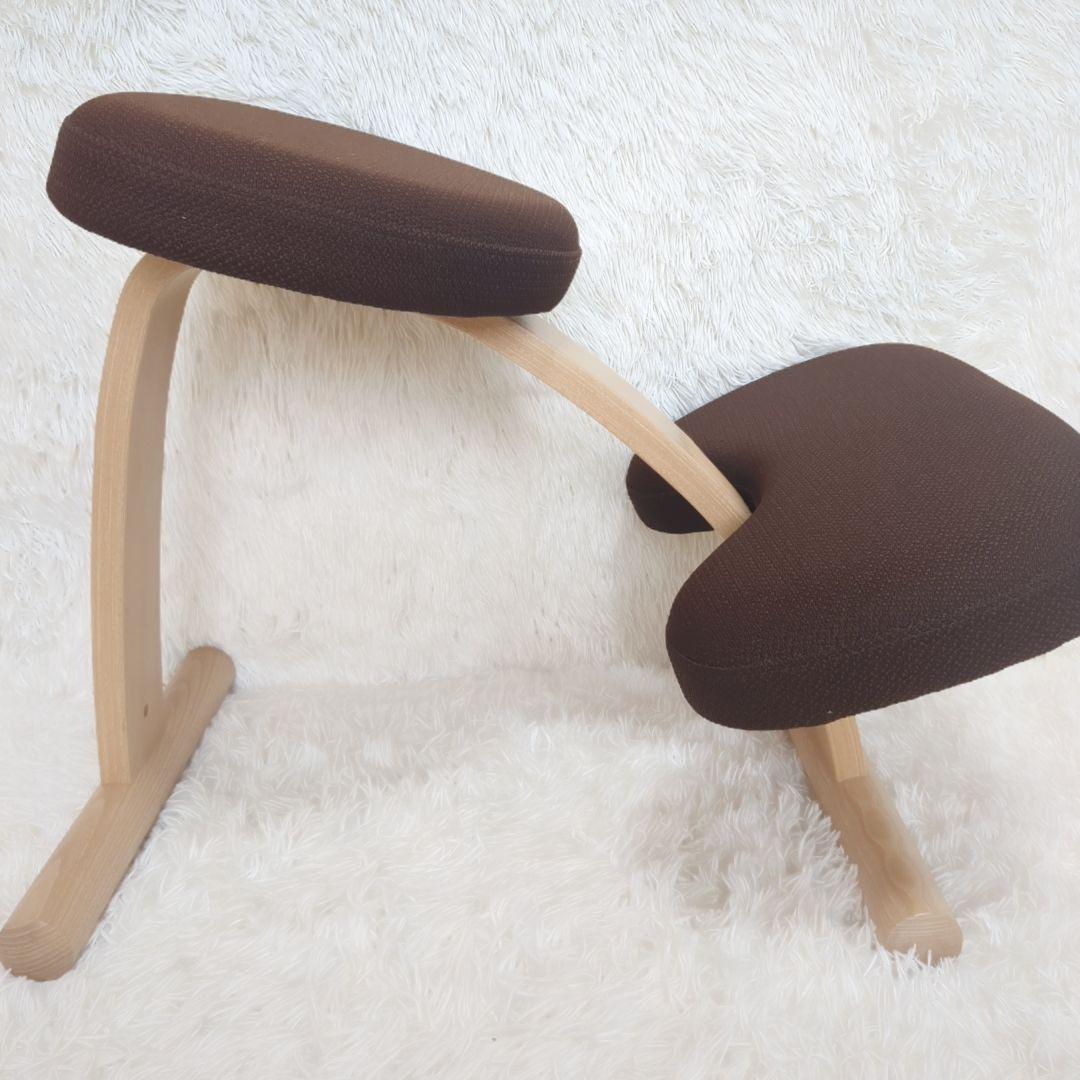 balans Easy バランスイージー 通常フレーム 　オプション付き