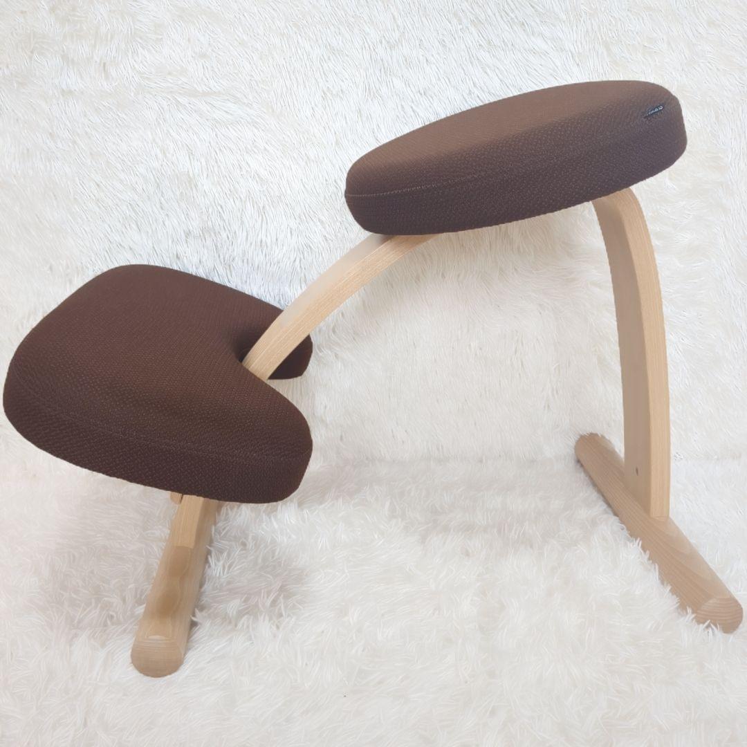 balans Easy バランスイージー 通常フレーム 　オプション付き