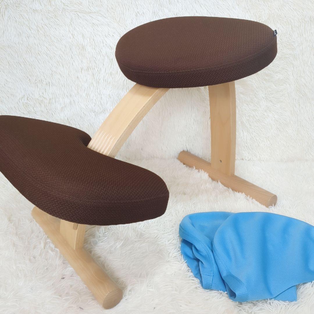 balans Easy バランスイージー 通常フレーム 　オプション付き