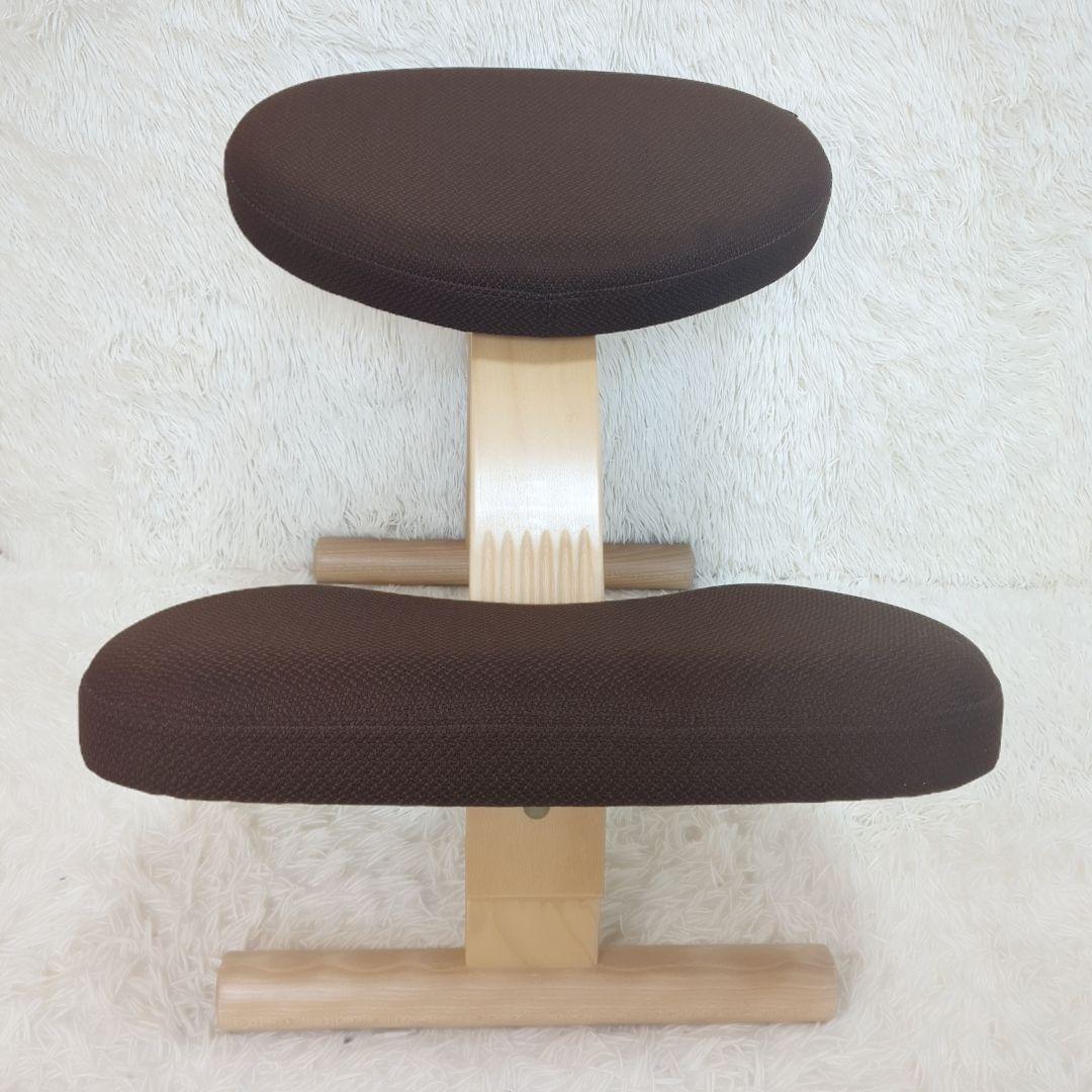 balans Easy バランスイージー 通常フレーム 　オプション付き