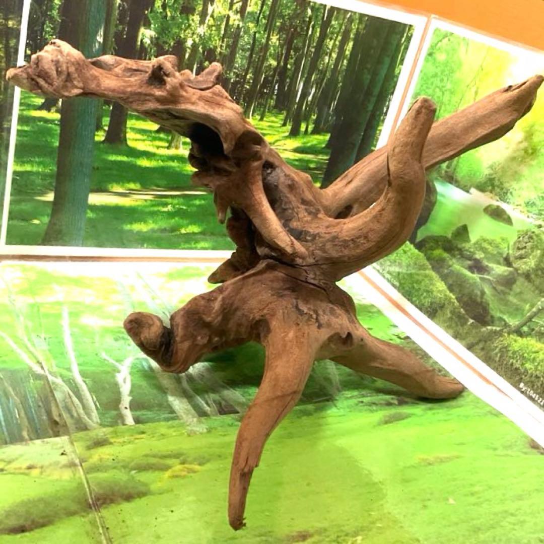 コエポン様 リクエスト 5点 まとめ商品