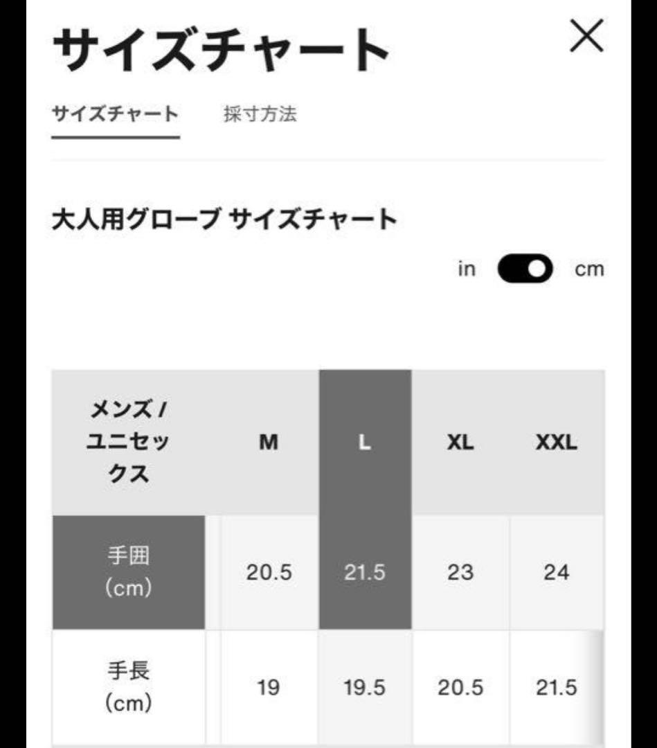 Burton akエクスペディション GORE-TEX グローブ　ヒッチハイク