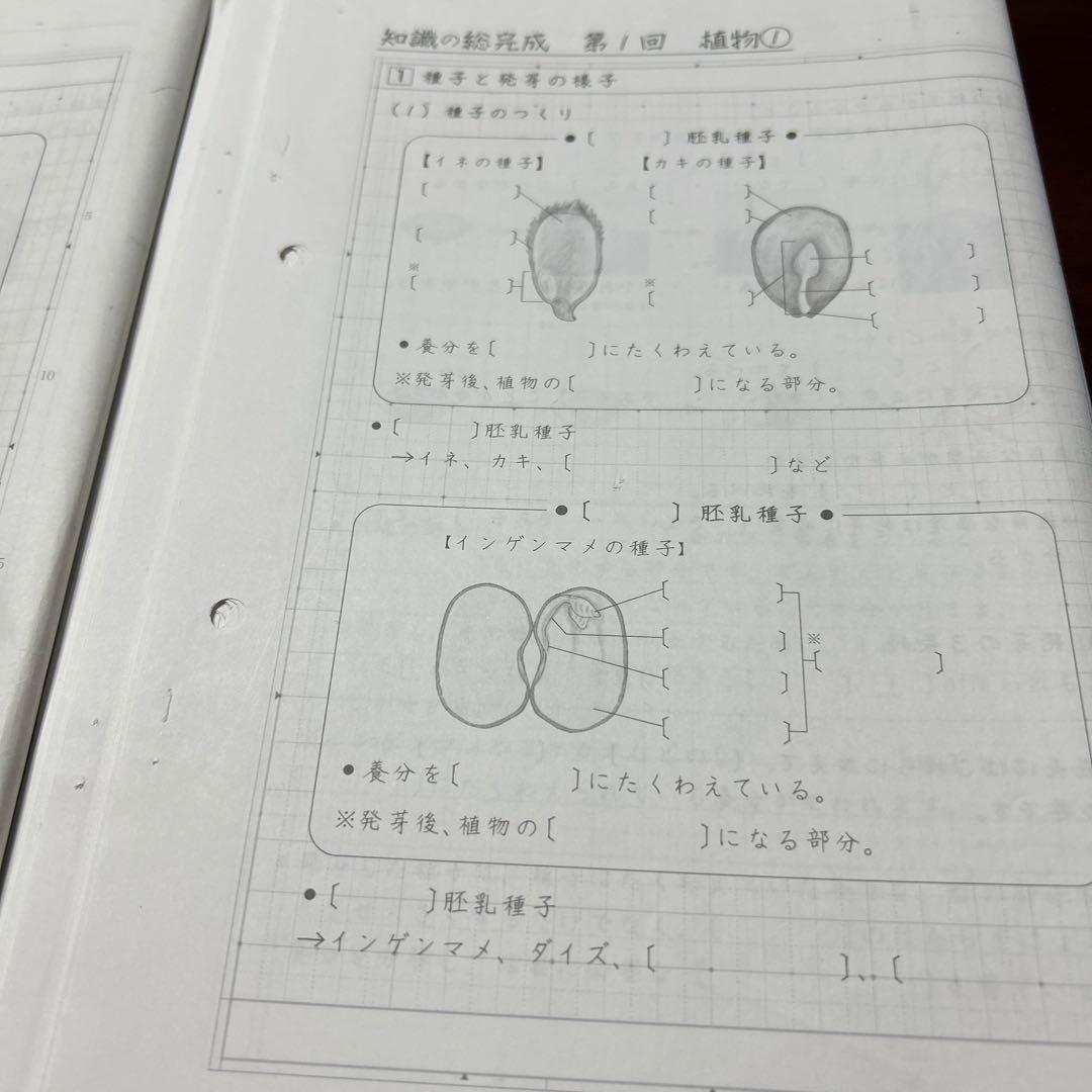 ④SAPIX サピックス　sapix 理科の総完成❣️ 最後の総仕上げ❣️暗記❣️