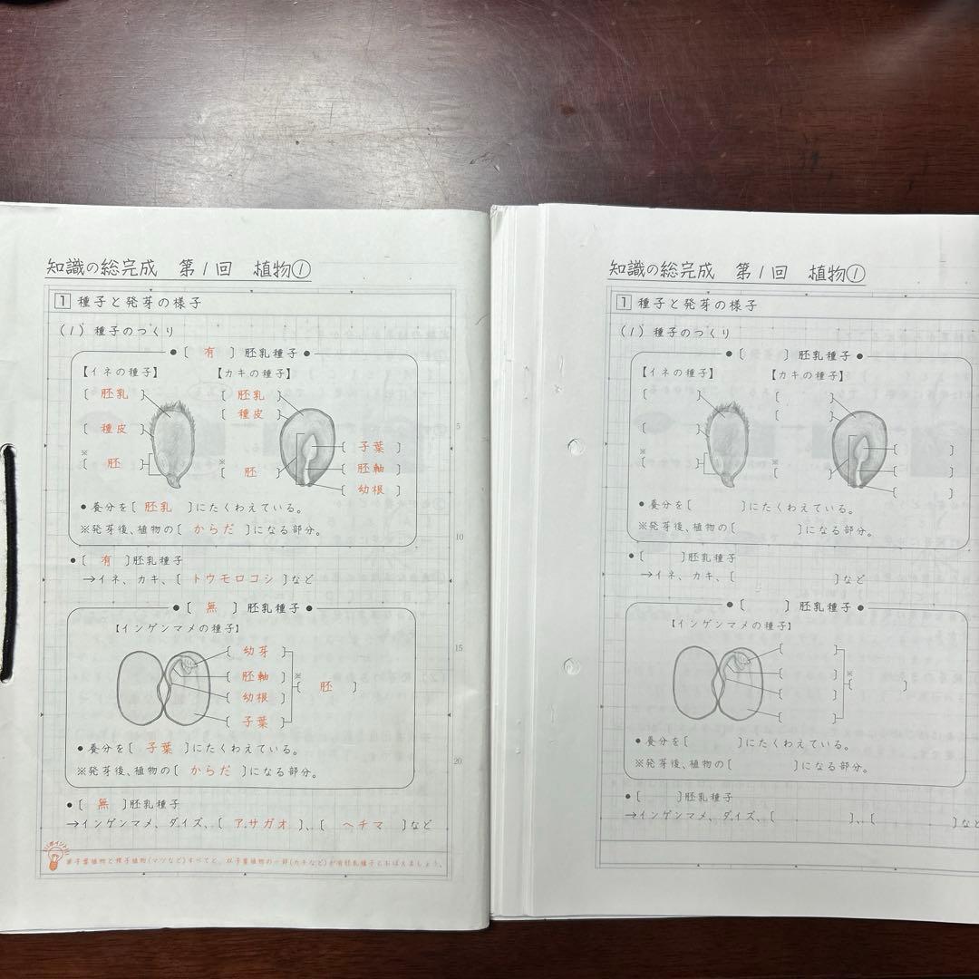 ④SAPIX サピックス　sapix 理科の総完成❣️ 最後の総仕上げ❣️暗記❣️