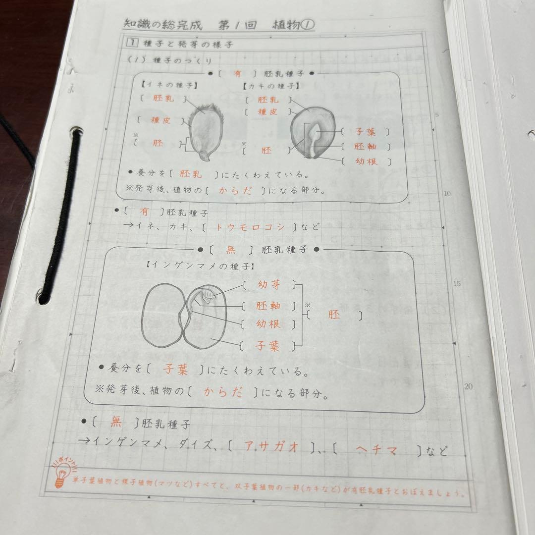 ④SAPIX サピックス　sapix 理科の総完成❣️ 最後の総仕上げ❣️暗記❣️