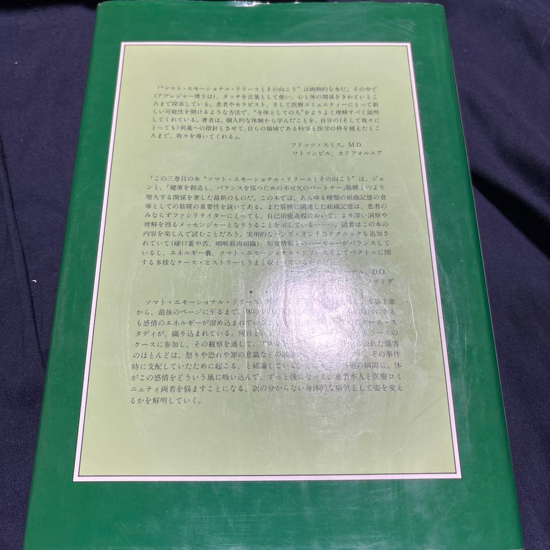 ソマトエモーショナルリリース　体制感情解放とその向こう
