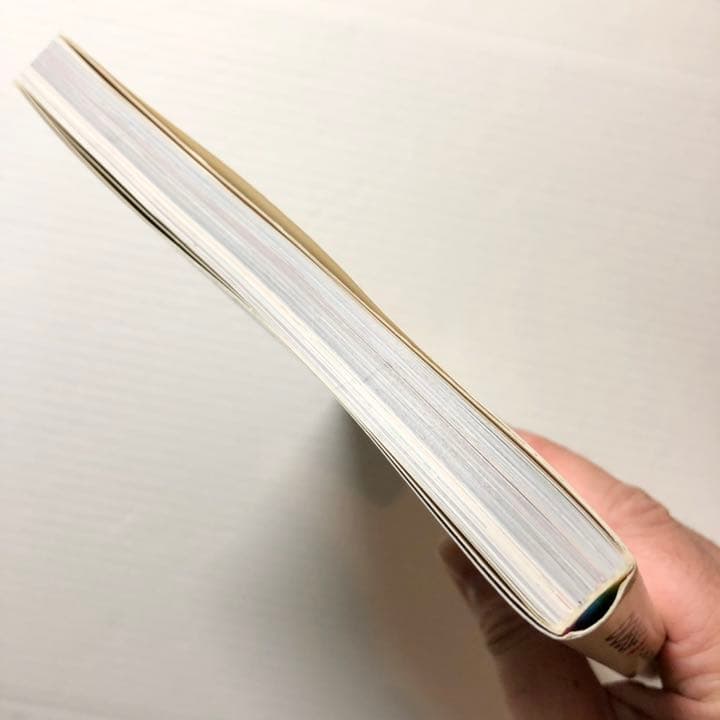 村上 隆／ふしぎの森のDOB君 ― 村上隆1st作品集