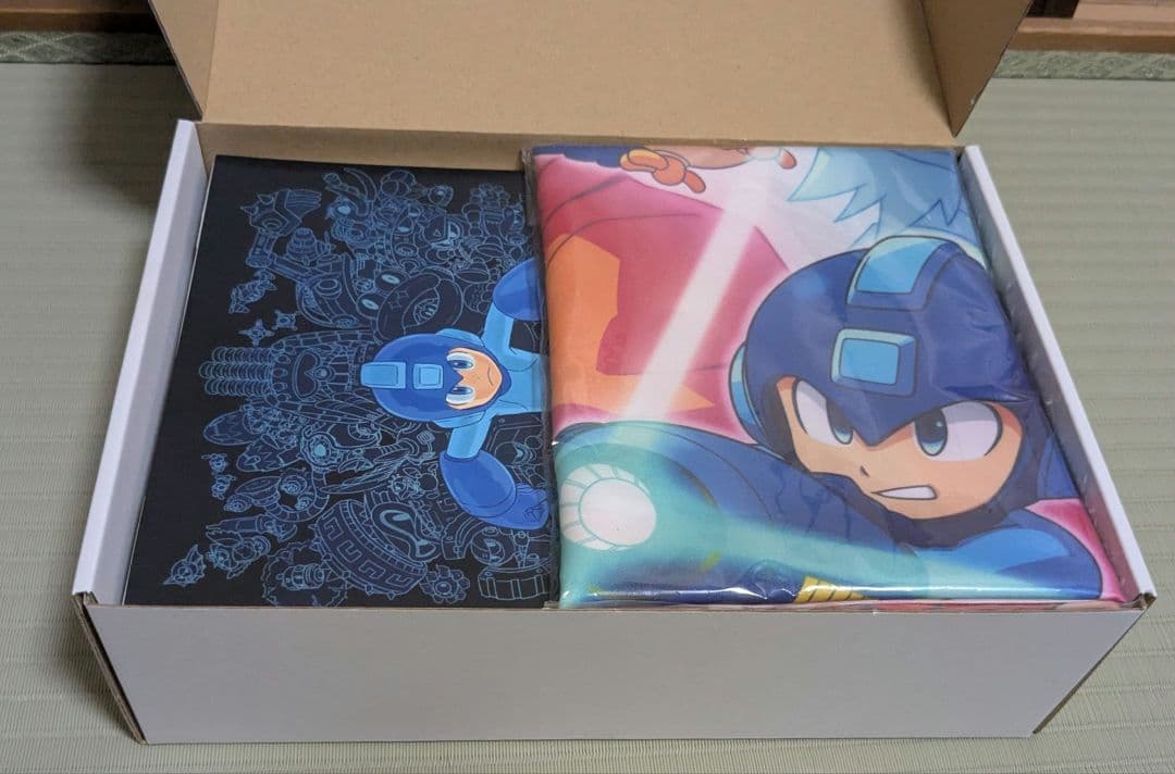 【Switch】ロックマン11 コレクターズパッケージ 美品 amiibo同梱版